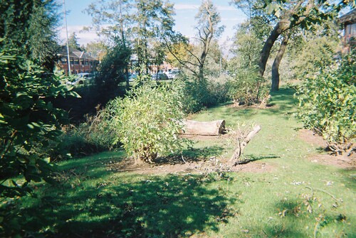 Figure 10: A secluded clearing near a busy thoroughfare. Photographer: Helen, company director.