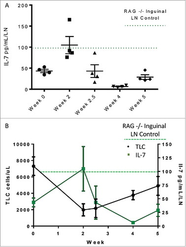 Figure 6. (A) IL-7 levels in distal lymph nodes measured over the course of treatment in C57 Bl/6 animals treated with 4 Gy x 10 fractions. (B) IL-7 levels are inversely correlated with peripheral lymphocyte counts.