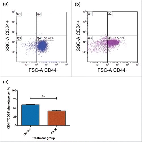 Figure 3. a-c. AHCC reduces CD44+/CD24− phenotype MDA-MB-231 cells. (a) Untreated MDA-MB-231 mammospheres. (b) Treated MDA-MB-231 mammospheres. The treatment group was exposed to 4 mg/ml of AHCC for 24 hours. (c) Comparison between untreated control and treated AHCC mammospheres with a combination of 3 experiments. Data are presented as mean ± SEM. Significance is represented by ** for p < 0.01 by Tukey's post-hoc test. MDA-MB-231 mammospheres (2x105 cells/ml) were plated in 6-well ultra-low attachment plates in DMEM/F12 and spheroid medium and incubated at 37°C and 5% CO2. The cells were exposed to antibodies CD44 and CD24 and profiles were analyzed by flow cytometry.