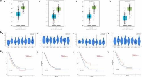 Figure 5. Biomarker validation. (a) Differential expression between tumor and matched non-carcinoma samples. (b) Expression in LUAD samples with different tumor stages. (c) Association between expression and overall survival time. (a) CAV1. (b) CFD. (c) CLEC3B. (d) FMO2