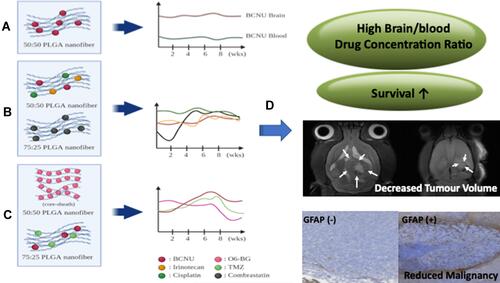 Figure 4 (A) Sustained release of a single chemotherapy agent (BCNU) from 50:50 PLGA nanofibrous membranes (NMs). (B) Sequential release of three chemotherapy agents (BCNU, irinotecan, and cisplatin) from 50:50 PLGA NMs followed by release of an antiangiogenetic agent (combrastatin) 75:25 PLGA NMs. (C) Sequential release of O6-BG from 50:50 PLGA NMs followed by release of two alkylating agents (BCNU and TMZ) from 75:25 PLGA NMs. (D) Contribution of NMs of different designs to antiglioma efficacy in an orthotopic animal model.