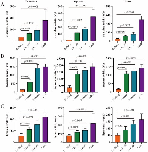 Figure 8. The activities of digestive enzymes of the small intestine in goats from birthday to adult Differences between groups were labeled over bars.