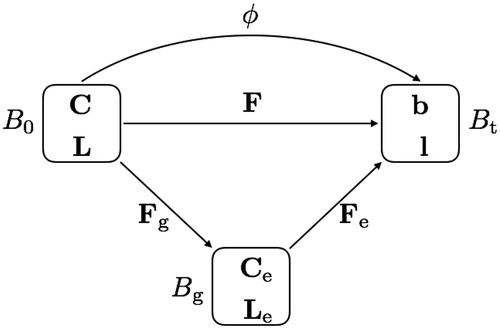 Figure 3. Multiplicative decomposition of the deformation gradient F in the growth model: intermediate configuration with growth and elastic components.