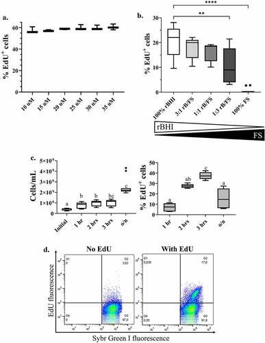 Figure 2. Optimization of EdU-click in fecal mouse bacteria. Mouse fecal bacteria underwent variations of the EdU-click procedure as described in the main text. (a) The proportion of fecal bacterial cells labeled as EdU+ using increasing concentrations of EdU. (b) The proportion of fecal bacterial cells labeled as EdU+ when using various combinations of media (rBHI) and fecal slurry. Comparisons are relative to 100% rBHI. Statistical significance determined by Kruskal-Wallis with Dunn’s test to correct for multiple comparisons. Comparisons are considered significant at p ≤ .05. rBHI = reduced Bovine Heart Infusion broth with hemin; FS = fecal slurry; rB/FS = rBHI and fecal slurry. (c) Left: The number of fecal bacterial cells, as calculated from the events during flow cytometry, after each incubation time. Statistical significance determined using Kruskal-Wallis with multiple comparisons corrected by Dunn’s test. Initial = no incubation; o/n = overnight (19 hours). Right: The proportion of fecal bacterial cells labeled as EdU+ after each incubation time. Statistical significance determined using Brown-Forsythe and Welch ANOVA with Dunnett’s multiple comparisons test Different letters denote a significant difference at p ≤ .05. (d) Representative flow cytogram of a mouse fecal bacterial community which underwent the optimized EdU-click procedure, incubated with or without EdU.