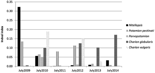 Figure 4. Indval value of N. obtusa and four alliances at each summer. All indval values are statistically significant (p value < 0.001).