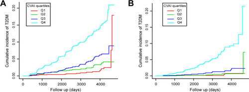 Figure 1 Kaplan-Meier plots of incidence rate of T2DM for CVAI quartiles groups during follow-up. (A) In male participants; (B) In female participants.