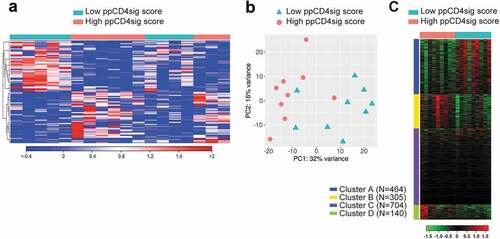 Figure 6. Transcriptomic analyses of high ppCD4sig score vs. low score for CRC patients. The ppCD4sig score for the 18 patients was calculated based on the ratio between the average expression (TPM) of upregulated genes to the average expression of downregulated genes. Patients were dichotomized as high score (above median score) and low score (below median score) groups. Differential expression analyses were performed on data comparing high score vs. low score patients to identify deregulated and functional networks using iDEP platform. Hierarchical heat map shows the distinct cluster of high score and low score patient groups (FC >2 and P value < 0.05) (a). PCA plot showing the variability in gene expression between high score and low score CRC patients. First two principal components are shown (b). Heat map shows the four functional clusters from gene ontology enrichment analyses (c). Expression of clustered transcripts is depicted as color code, displayed below the heat map. The number of genes annotated in each cluster is represented (left side) of the heat map.