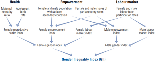 Figure 3. Socioeconomic gender egalitarianism according to the UNDP’s (Citation2019) gender inequality index.