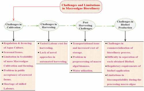 Figure 4. Challenges and limitations in Macroalgal biorefinery