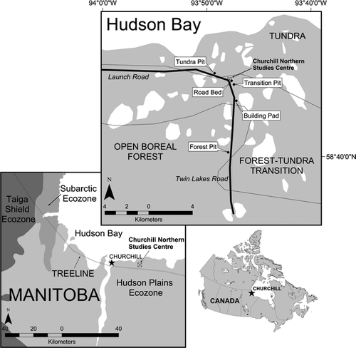 Figure 1 Location of Churchill, Manitoba, study area and revegetation site locations.