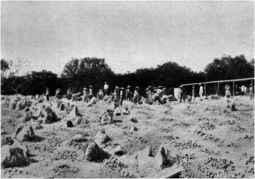 Figure 2. Chinese labourers in a Nauru phosphate mine, 1908. https://commons.wikimedia.org/wiki/File:Chinese_labourers_phosphate_mine_Nauru.jpg.