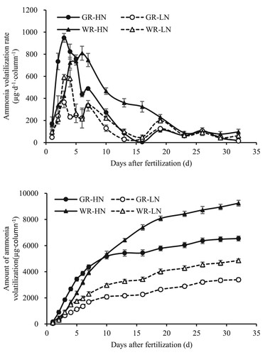 Figure 2. Ammonia volatilisation rate and loss amount under different nitrogen application rates and paddy-upland rotations.Notes: GR: soil from the long-term garlic-rice rotation, WR: soil from the long-term wheat-rice rotation, HN: high nitrogen application (76.8 mg urea column−1, equivalent to paddy applications of 180 kg N ha−1), LN: low nitrogen application (38.4 mg urea column−1, equivalent to paddy applications of 90 kg N ha−1).