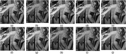 Figure 5. (a) Reference image of Barbara; (b) speckled image of Barbra; (c) outcome of Wang et al. (Citation2022); (d) outcome of Perera et al. (Citation2022a); (e) outcome of Liu et al. (Citation2022); (f) outcome of Perera et al. (Citation2023); (g) outcome of Wu et al. (Citation2022); (h) outcome of Nabil et al. (Citation2023); (i) outcome of Baraha and Sahoo (Citation2022); (j) outcome of proposed method.
