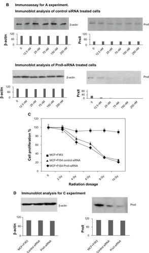 Figure 2 Cell proliferation of MCF+FIS4 radiosensitive and MCF+FIR3 radioresistant breast-cancer cells in response to radiation and small interference RNA (siRNA) treatment. (A) Cell proliferation of MCF+FIS4 radiosensitive cells following the transfection of siRNA at concentrations 0.0, 12.5, 25.0, 75.0, 150.0, and 250.0 nM. (▲) Result for the cells treated with control siRNA. (■) Result for the cells treated with peroxiredoxin (Prx) II-siRNA. (B) Immunoblot results for β-actin and PrxII from cells transfected with control siRNA and cells transfected with PrxII-siRNA. (C) Cell proliferation results for MCF+FIS4 radiosensitive cells with combined treatment of 25 nM siRNA for 72 hours and ionizing radiation (IR). (♦) Result for the cells treated with combined PrxII-siRNA and IR. (▲) Result for cells treated with combined control siRNA and IR. (■) Result for the MCF+FIR3-resistant cells used for comparison analysis. (D) Immunoblot analysis undertaken to monitor PrxII expression levels after control siRNA and PrxII-siRNA transfection. (E) Cell proliferation for MCF+FIR3 radiosensitive cells following the transfection of siRNA at concentrations 0.0, 12.5, 25.0, 75.0, 150.0, and 250.0 nM. (▲) Result for the cells treated with control siRNA. (■) Result for the cells treated with PrxII-siRNA. (F) PrxII expression levels were monitored by immunoblot analysis. (G) Cell proliferation results for MCF+FIR3 radioresistant cells treated with combined siRNA (25 nM) for 72 hours and IR. (•) Result for the cells treated with combined PrxII-siRNA and IR. (■) Result for cells treated with control siRNA and IR. (♦) Cell proliferation results for untreated MCF+FIR3 radioresistant cells. (H) PrxII expression levels were monitored by immunoblot analyses after control siRNA and PrxII-siRNA transfection.