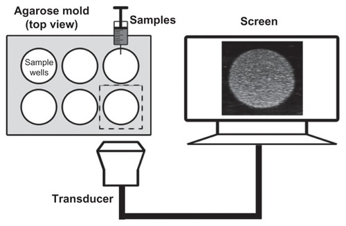 Figure 2 Custom-made 2% (w/v) agarose mold for use with in vitro ultrasound imaging and the in vitro experimental setup.