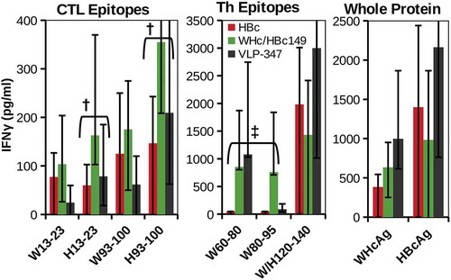 Figure 11. Hybrid WHcAg/HBcAg VLP DNA constructs can prime efficient HBcAg-specific CTL. Groups of three wild-type B6 mice were immunized with DNA constructs (100 µg, two doses, s.c.) encoding VLP-347, WHcAg188/HBcAg149 or HBcAg alone. Splenic CTL or Th cell (5x105) IFNγ responses recalled by the panel of peptides corresponding to CTL or Th epitopes and whole protein antigens are shown. HBcAg-specific CTL (†) and WHcAg-”heterospecific” Th cell (‡) responses are highlighted. IFNγ was measured in 4-day culture supernatants by two-site ELISA. Data represent the mean ± standard deviation of 3 mice/group. Control spleen cells from unimmunized mice cultured with antigens or DNA immunized mice cultured with media alone served as negative controls.