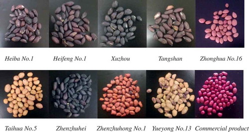 Figure 1. Morphology and appearance of 10 peanut cultivars.