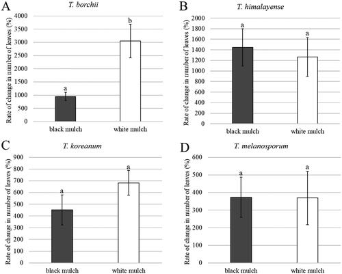 Figure 8. Rate of change in the number of leaves of inoculated seedlings by Student’s t-test. (A) Tuber borchii; (B) Tuber himalayense; (C) Tuber koreanum; and (D) Tuber melanosporum. Mean values ± standard error. Different letters above the bars show significant differences (p < 0.05).