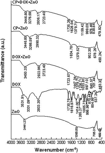 Figure 3. FTIR spectra of the formulated chemo drugs before UV-irradiation on DPPH*.