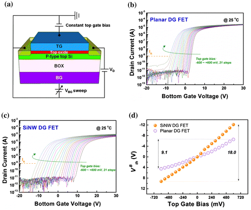 Figure 4. (a) Schematic of FETs in dual-gate (DG) operation. Transfer curves of (b) planar DG FETs and (c) SiNW DG FETs with constant top gate biases from –600 mV to 600 mV in steps of 60 mV, as indicated by the arrow. The drain bias is 50 mV. (d) Top gate bias versus VthB plot for planar and SiNW DG FETs. VthB for each top gate bias is defined as the bottom-gate voltage corresponding to ID of 1 nA.