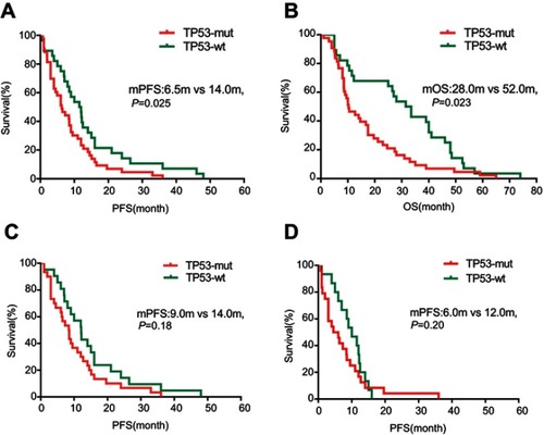 Figure 1 Kaplan–Meier curves of survival. (A) Comparison of PFS between TP53-mut and TP53-wt patients (N=71). (B) Comparison of OS between TP53-mut and TP53-wt subgroups (N=71). (C) Comparison of PFS between TP53-mut and TP53-wt patients in the subgroup of patients with Del19/L8585R EGFR mutations (N=51). (D) Comparison of PFS between TP53-mut and TP53-wt patients in the subgroup of patients with first-line TKIs therapy (N=39).Abbreviations: PFS, progression-free survival; OS, overall survival; NSCLC, non-small cell lung cancer; ECOG, Eastern Cooperative Oncology Group; PS, performance status; mut, mutant; wt, wild type.