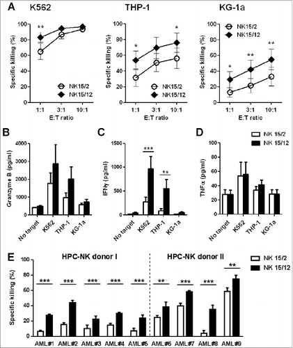 Figure 1. Combining IL-15 with IL-12 enhanced the cytolytic activity and IFNγ production capacity of HPC-NK cells toward AML. The functionalities of HPC-NK cell products were assessed after overnight co-culture with target cells. (A) Percentage killing of K562, THP-1, and KG-1a cells at increasing effector cell:target (E:T) ratio. Combined results (mean ± SEM) of 7 independent experiments, each performed in triplicate with different HPC-NK cell donors, are shown. (B-D) Granzyme B, IFNγ, and TNFα levels were determined by ELISA in co-culture supernatants of 5 × 104 NK cells with target cells at a E:T ratio of 1:1. Mean values ± SEM of 5 donors are shown. (E) Percentage killing (mean ± SD) of patient-derived primary AML cells (E:T = 3:1). The cytolytic activity of HPC-NK cells derived from donor I (undetermined HLA-C type) was addressed using a CFSE-based cytotoxicity assay, whereas viable AML cells were identified by flow cytometry using 7AAD and CD33/CD34/CD56 markers for donor II (HLA-C group C1/C2). Statistical analysis was performed using a 2-way ANOVA (with repeated measurements in panels A-D), *P < 0.05, **P < 0.01, ***P < 0.001.