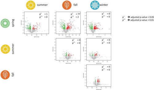 Figure 3. Volcano plots for each of the six pair-wise combinations of the four seasons. For each miRNA, the −log10 transformed p-values on the y-axis and the log2 expression value of the fold change on the x-axis is shown. Nominally significant miRNAs are coloured red for up-regulation and green for down-regulation in a season on the horizontal axis. The two numbers in each of the volcano plots provide the number of significant miRNAs following adjustment for multiple testing using thresholds of 0.05 and 0.01. For example, we found two significantly deregulated miRNAs between spring and fall for the latter threshold, namely the miRNAs hsa-miR-181c-5p and hsa-miR-106b-5p.