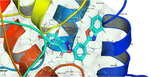 Figure 4 The Predicted 3D demonstration of binding modes of G4 inside the active site of COX-2 (PDB ID: 1CX2).