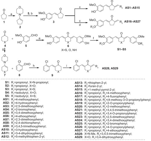 Figure 2 The synthetic pathway for monocarbonyl curcumin analogs S1–S5, and AS1–AS29.