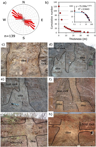 Figure 5. Distribution of dike orientation and thickness in the Nanchititla dike swarm (a and b). Some dikes have planar and tabular geometries as shown in (c). Photograph (d), (e) and (f) are examples of finger-like dike intrusions are a single segment or several segments formed from the main dike intrusion. Dike-sill systems were also observed at different levels of the host rock as shown in incise (g) and (h).