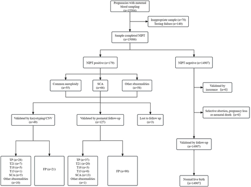 Figure 1 Flowchart of noninvasive prenatal test (NIPT) results and clinical outcome of pregnant women undergoing screening for fetal chromosome disorders between 2017 and 2022.