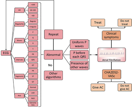 Figure 2 Simplified algorithm in the field of cardiology that can help in atrial fibrillation diagnosis and treatment.