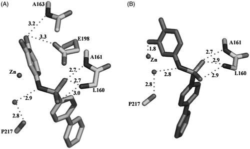 Figure 3. Hydrogen bond network of the catechol form (A) and the oxidized quinone form (B) of 14 (distances in Å).