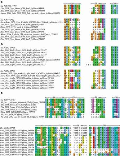 Figure 10. DE loop and DE loop adjacent insertions from a large antibody sequencing data set from HIV-infected individuals