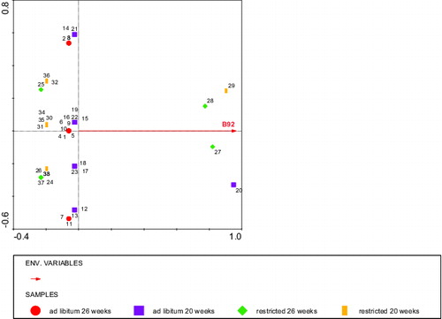 Figure 8. RDA analysis depicting the BLL fragment (Environmental variable B92) stained by IgG that significantly (P < 0.01) explained the rumen score with diet, age, and body weight at slaughter as covariates. Circles: ad libitum fed, 26 weeks of age (calves 1–11), squares: ad libitum fed, 20 weeks of age (calves 12–23), diamonds: restricted fed, 26 weeks of age (calves 24–28 + 37), and bars: restricted fed, 20 weeks of age (calves 29–36 + 38). Numbers represent individual calves. Fragment B92 explained 6% of the variation in the rumen score.