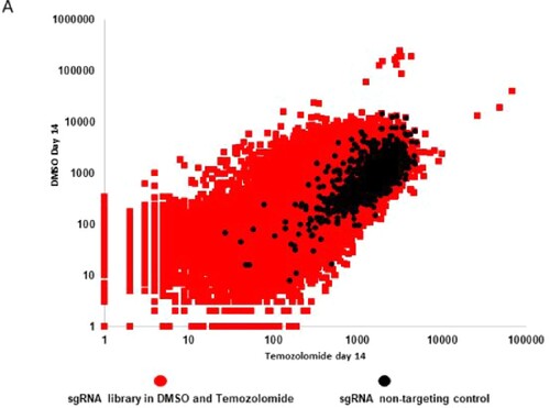 Figure 7. Scatter plot distribution of sgRNA in DMSO versus temozolomide-treated glioblastoma cells. A Scatter plot depicting sgRNA distribution in DMSO (y-axis) and temozolomide (x-axis) and their non-targeting controls (black dots).