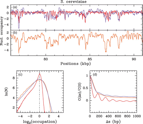 Figure 10. Nucleosome occupancy profile (, where Y(s)=log 2(P(s))) along a 15 kpb long fragment of S. cerevisiae chromosomes 12: (a) in vivo MNase-chip data of Lee et al. Citation(2007) (red) and in vivo MNase-seq data of Kaplan et al. Citation(2009) (violet); (b) in vitro MNase-seq data of Kaplan et al. Citation(2009) (orange); (c) corresponding histograms of Y(s) values centered on their typical values; (d) auto-correlation functions C(Δ s)=⟨ δ Y(s) δ Y(s+Δ s) ⟩.