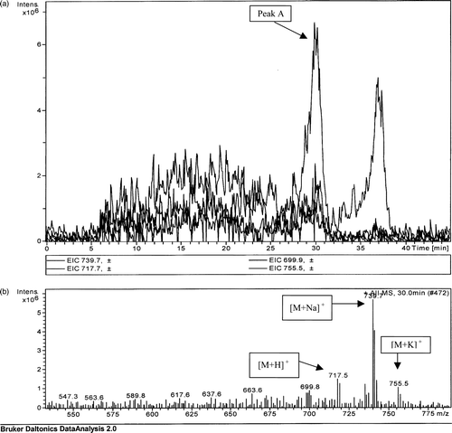 Figure 2.  (a) Extrapolated ion count for a TLC extract prepared from an Enterobacter agglomerans extract. (b) Mass spectrometric analysis of peak A detected at a retention time of 30 min.