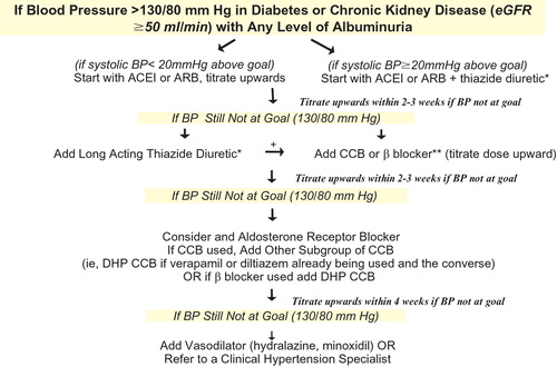 Figure 2 Algorithm for cardiovascular and renal protection in patients with chronic kidney disease and estimated glomerular filtration rate⩾50 ml/min. *Exercise caution over the use of high doses of diuretics. If a beta‐blocker is prescribed, then it should be combined with a DHP CCB. **Carvedilol is preferred because of specific data in renal impairment and outcomes. Other beta‐blockers are not excluded, there are no data to support the use of atenolol in such patients and only limited data to support metoprolol, which is also poorly tolerated. eGFR, estimated glomerular filtration rate; BP, blood pressure; ARB, angiotensin II receptor blocker; ACEI, angiotensin‐converting enzyme inhibitor; CCB, calcium‐channel blocker; DHP CCB, dihydropyridine calcium‐channel blocker.