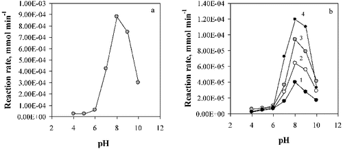 Figure 6. Effect of pH on the activity of the free (a), and immobilised lipase (b). Enzyme supports: (1) Ca-alginate/PVA; (2) chitosan; (3) Ca-alginate; (4) chitosan-coated Ca-alginate beads.