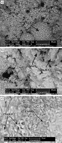 Figure 4. Electron backscattered micrographs of sintered fly ash sintered at (a) 850 °C and (b) and (c) 1050 °C.