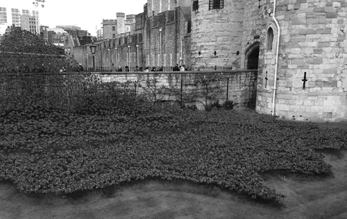 Figure 1. ‘Blood Swept Lands and Seas of Red’ installation at the Tower of London.Photo credit: Kimerly Miller