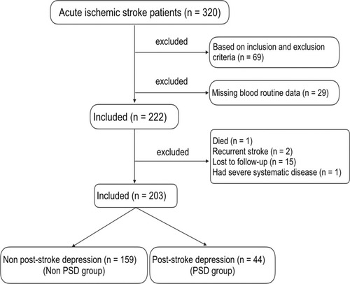 Figure 1 The recruitment of patients with acute ischemic stroke in this study.