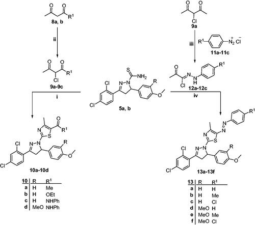 Scheme 2. Synthetic pathway for preparation of compounds 10a–10d and 13a–13f; reagents and reaction conditions: (i) EtOH, reflux, 4 h; (ii) SO2Cl2, dry Et2O, 0–5 °C, 2 h; (iii) (a) NaNO2-HCl, 0–5 °C, 2 h; (b) NaOAc.3H2O, EtOH, 0–5 °C, 4 h; (iv) EtOH, reflux, 4 h.