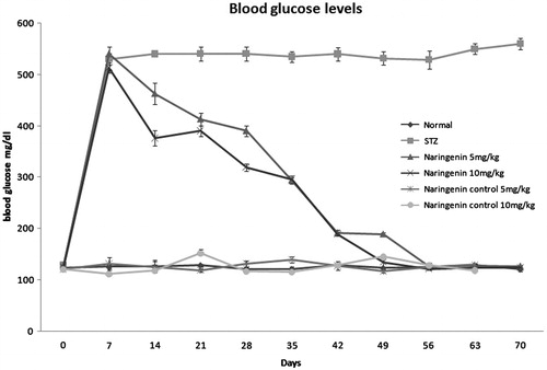 Figure 2. The blood glucose levels of all the experiment groups during the 70 d study are shown. Administration of STZ to the groups except normal and naringenin control shows an increase in the blood glucose level but administration of naringenin high- and low-doses normalize the glucose levels.