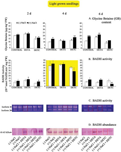 Figure 3. (a–d) Glycine betaine content and BADH analysis in light-grown seedlings. Other details as in Figure 2. Data represent the mean and standard deviation from three replicates (n = 3). NaCl and treatment-induced changes in GB accumulation and BADH abundance and activity were analyzed by one-way ANOVA using SPSS 22.0 and were statistically significant (*p < .05, **p < .01, ***p < .001).