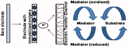 Figure 5. Scheme showing the reaction sequence within the enzyme electrode using a mediator.