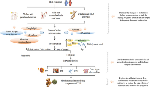 Figure 6 The diagram on the T1D progress in metabolomics.