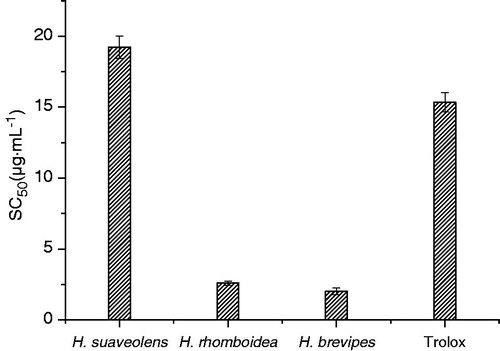 Figure 3. DPPH radical scavenging activity of H. suaveolens, H. rhomboidea and H. brevipes essential oils.