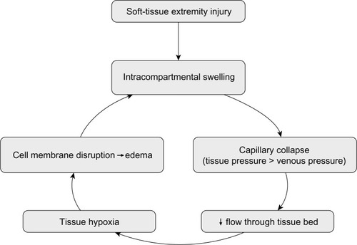 Figure 3 “Vicious cycle” of events leading to increased tissue compartment pressure during acute compartment syndrome.